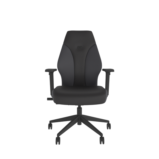 Gaming Chair – Graphite | Ergonomic Design | Adjustable Height | Lumbar Support