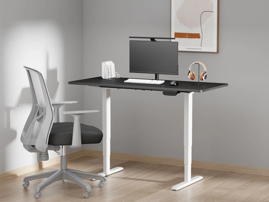 ERGO LITE Dual-Motor Electric Height Adjustable Desk | Oxfordshire PC Gaming