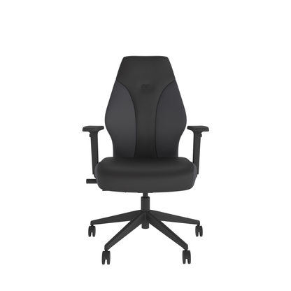 Gaming Chair – Graphite | Ergonomic Design | Adjustable Height | Lumbar Support