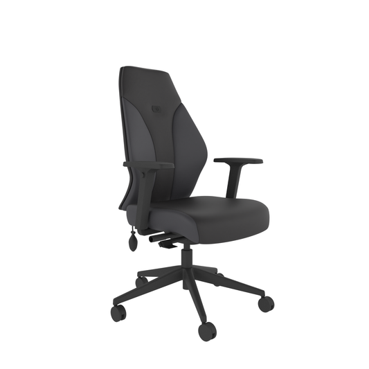 Gaming Chair – Graphite | Ergonomic Design | Adjustable Height | Lumbar Support