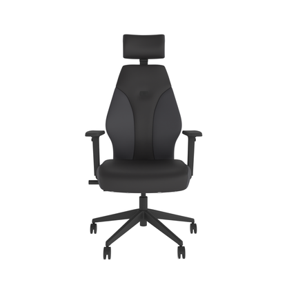 Gaming Chair – Graphite | Ergonomic Design | Adjustable Height | Lumbar Support