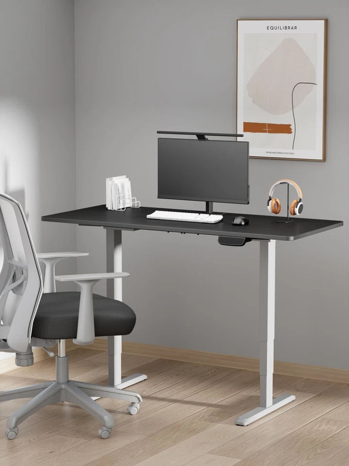 ERGO LITE Dual-Motor Electric Height Adjustable Desk | Oxfordshire PC Gaming