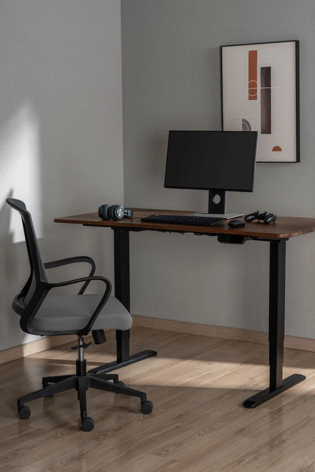 ERGO LITE Dual-Motor Electric Height Adjustable Desk | Oxfordshire PC Gaming