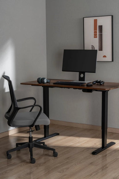 ERGO LITE Dual-Motor Electric Height Adjustable Desk | Oxfordshire PC Gaming